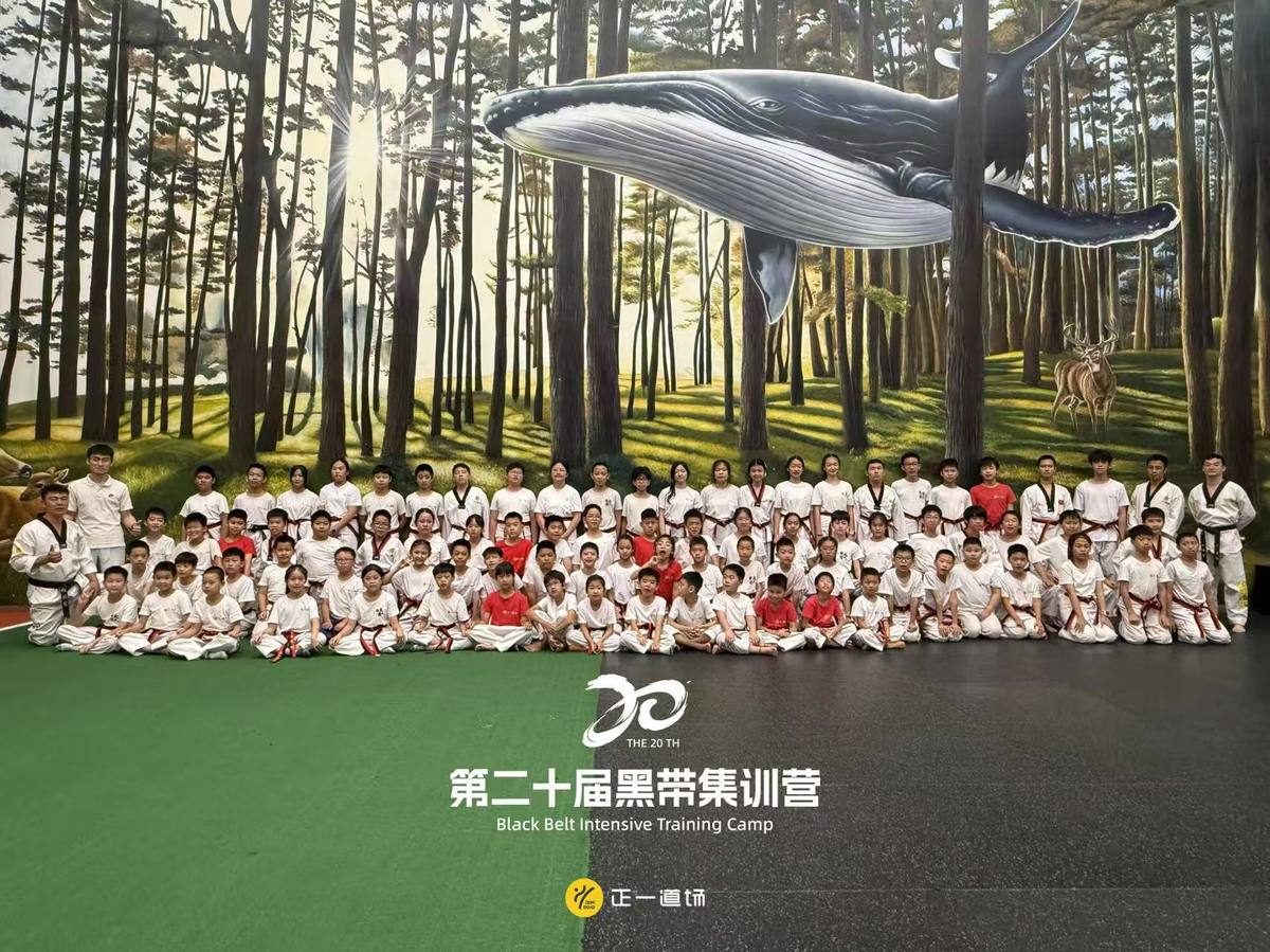 跆拳道集训营大合影